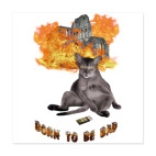 Плохой кот-поджигатель