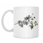 Денежное дерево