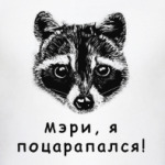 Енот - Мэри, я поцарапался!