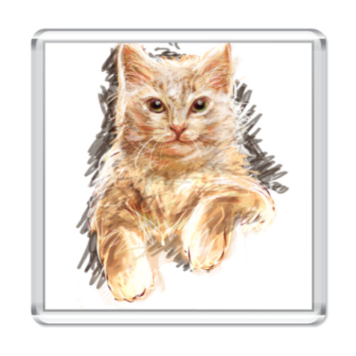 Магнит Кот в карандашах