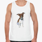 Мужская майка