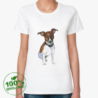 Джек рассел терьер