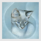 Блю-тэбби-пойнт