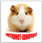  Интернет-хомячок