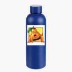 Термобутылка