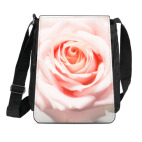 Нежная роза