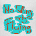 No FALLING - Only FLYING
