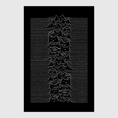 Постер Cat Division Unknown Pleasures