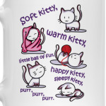 Песня Шелдона и Пенни