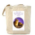 Холщовая сумка