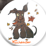 Осенний шнауцер