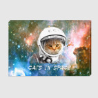 Котик космический