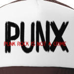 PUNX-punk rock is not a crime