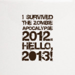 I survived 2012. Hello, 2013!