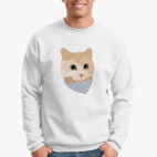 Песочный кот