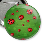 Божьи коровки