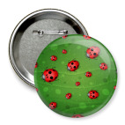 Божьи коровки