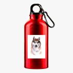 Металлическая бутылка 400 мл UV-DTF