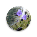  'Колокольчики'