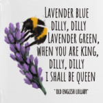 Lavender blue dilly, dilly