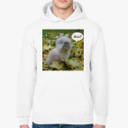 Толстовка худи