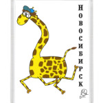 На память о Новосибирске