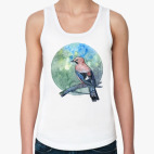 птица сойка