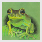 Постер 40 х 40 см Жемчужная квакша