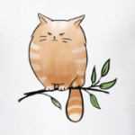 Кот Мягкот, рыжий живот!