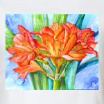 акварельная кливия