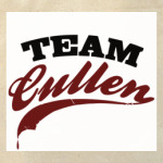 Team Cullen