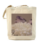 цветок хризантема