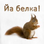 Йа белка!