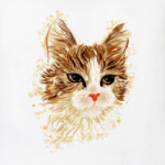 Серьёзный Кот