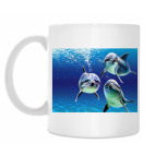 Кружка 330 мл