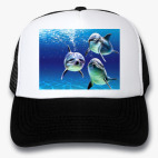 Кепки Trucker