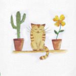 кот и кактус