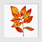 Осенний лист