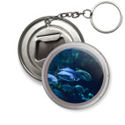 Подводный мир