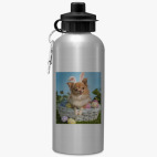 Спортивная бутылка