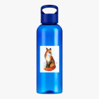 Прозрачная спортивная бутылка