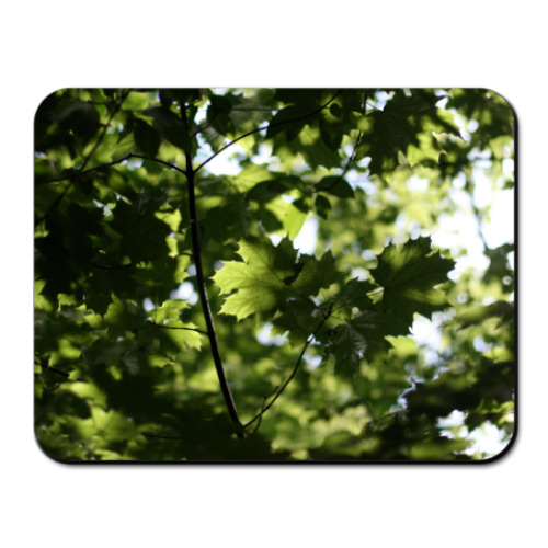 Коврик для мыши  Кленовый лес