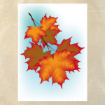 Золотая осень