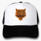 Кепки Trucker