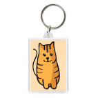 Хитрый котик