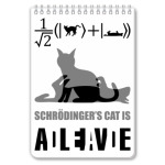 Котэ Шрёдингера