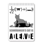 Котэ Шрёдингера