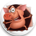 Внезапный Свин!