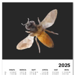 Пчела / Bee