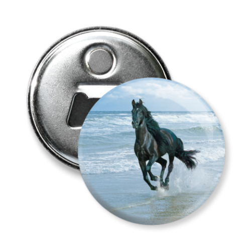 Магнит-открывашка Вороной